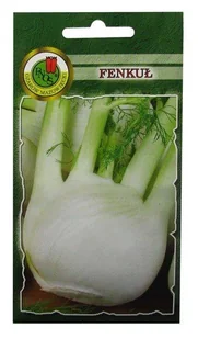 Częścią jadalną są zgrubienia nasady ogonków liściowych, osiągające wielkość ok, 500 g, spożywane jako surówka lub warzywo gotowane - Nasiona i cebule - miniaturka - grafika 1