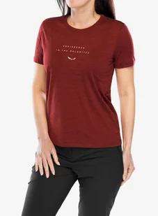 Koszulka damska Salewa Eagle Eitd AM T-Shirt - syrah - Koszulki i topy damskie - miniaturka - grafika 1