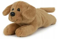 Maskotki i pluszaki - Maskotka Piesek Labrador szczeniak Petties Baby - 13cm - miniaturka - grafika 1