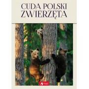 Albumy - przyroda - Cuda Polski Zwierzęta Łukasz Przybyłowicz - miniaturka - grafika 1