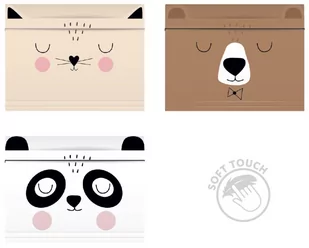 Interdruk, Teczka z gumka, A5 Bb Girls Int - Teczki i skoroszyty - miniaturka - grafika 1