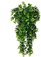 Sztuczne kwiaty - SZTUCZNA Roślina EUKALIPTUSOWA Wisząca do 85 cm DUŻA Ozdoba REALISTYCZNA XL - miniaturka - grafika 1