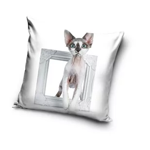 Poszewka Na Poduszkę 40X40 - Kot Cat 4 - Poszewki na poduszki - miniaturka - grafika 1