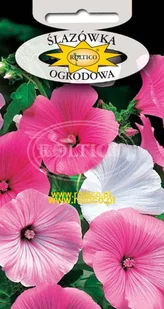 ŚLAZÓWKA OGRODOWA MIESZANKA 1g - Nasiona i cebule - miniaturka - grafika 1