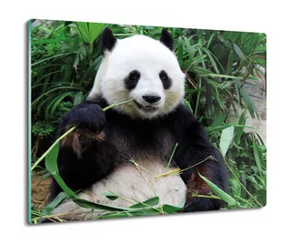 szklana osłona kuchenna druk Panda bambus 60x52, ArtprintCave - Deski do krojenia - miniaturka - grafika 1
