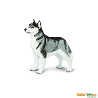 Figurki dla dzieci - Safari Pies Husky syberyjski - Ltd. - 255229 - miniaturka - grafika 1