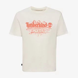 Koszulki męskie - TIMBERLAND T-SHIRT SHORT SLEEVE GRAPHIC SLUB TEE - Timberland - grafika 1
