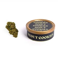 Zioła - Incannation, Susz konopny cbd scout cookies chill weed us golden line, 3 g - miniaturka - grafika 1