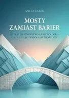 Książki o kulturze i sztuce - Mosty zamiast barier - Anita Całek - miniaturka - grafika 1