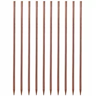 Ogrodzenia - Podpora Do Roślin Kwiatów Palik Impregnowany 10szt - miniaturka - grafika 1