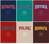 Zeszyty szkolne - Komplet 6 sztuk ZESZYTY TEMATYCZNE A5 60 zeszyt ze ściągą - miniaturka - grafika 1