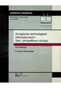 Bezpieczeństwo - Zarządzanie technologiami informatycznymi Stan i perspektywy rozwoju - miniaturka - grafika 1