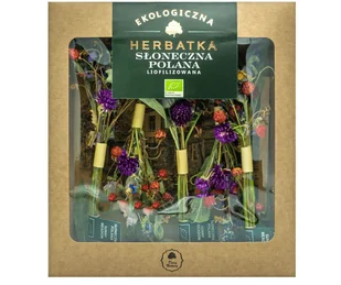 SŁONECZNA POLANA- herbatka liofilizowana - 5sztuk DARY NATURY - Herbata - miniaturka - grafika 1