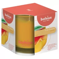 Świece - Bolsius Świeca zapachowa w szkle True Scents mango - miniaturka - grafika 1