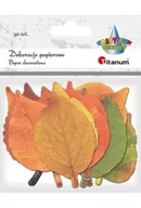 Zabawki kreatywne - Dekoracje kartonowe Liście mix 30szt - miniaturka - grafika 1
