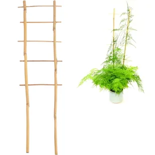Drabinka  Bambusowa podwójna 37 cm BAM3120 CHOMIK - Pozostałe akcesoria do uprawy roślin - miniaturka - grafika 1