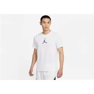 Koszulka sportowa męska Nike Air Jordan Dri-fit Air Graphic - Koszulki sportowe męskie - miniaturka - grafika 1