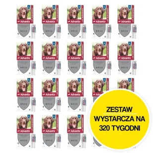 Krople na pchły i kleszcze BAYER Advantix Spot-on Duże psy (25-40 kg) 80 x 4 ml - Artykuły przeciw pasożytom - miniaturka - grafika 1