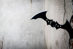 Plakat, Batman Arkham City - Batarang, 30x20 cm - Plakaty - miniaturka - grafika 1