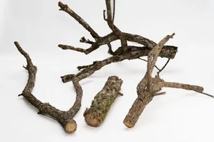 Biobranch 40Cm Gałąź Dębu Korkowego Prosta Lub Rozgałęziona - Dekoracje do terrarium - miniaturka - grafika 1