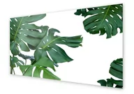 Dekoracje domu - Panel kuchenny HOMEPRINT Zielone liście monstera 140x70 cm - miniaturka - grafika 1
