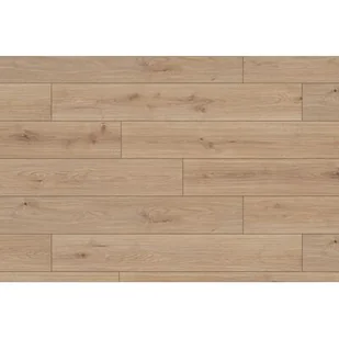 Krono Original Panel podłogowy Dąb Dąb Native AC4 8 mm - Panele podłogowe - miniaturka - grafika 1