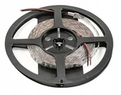 Taśmy LED - Taśma Flash 2835, 600 Led zimny biały 60W 10mm 5m - miniaturka - grafika 1