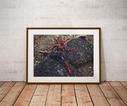 Plakaty - Plakat, Iron Spider-Man Ver4, 59,4x42 cm - miniaturka - grafika 1