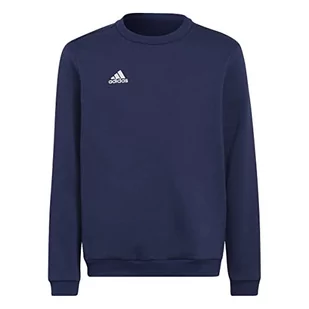 Adidas Ent22 Sw Topy bluza dziecięca, uniseks - Bluzy dla dziewczynek - miniaturka - grafika 1