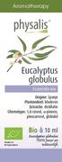 Aromaterapia - PHYSALIS (olejki eteryczne, soki) OLEJEK ETERYCZNY EUKALIPTUS GAŁKOWY (EUCALYPTUS GL - miniaturka - grafika 1