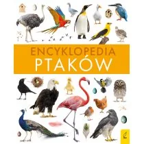 Encyklopedia ptaków - Książki edukacyjne - miniaturka - grafika 1