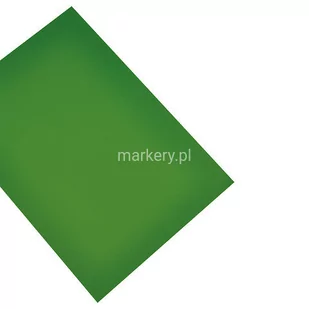 magnetoplan Papier  magnes arkusz Din A4, zielony 4013695008219 1266005 - Pozostałe akcesoria kuchenne - miniaturka - grafika 1
