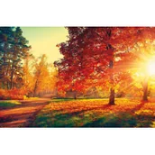 Kalendarze - Terminarz ścienny MICHALCZYK I PROKOP 2023 /T-107S-3/ - miniaturka - grafika 1