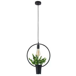 Polux Lampa wisząca IL MIO SOREN czarna 1*E27 okragla z kwiatkiem 313850 - Lampy sufitowe - miniaturka - grafika 1