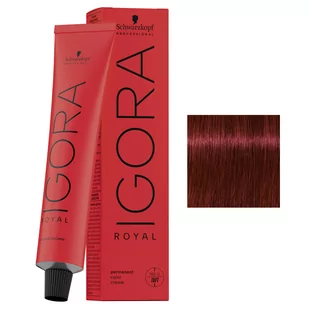 Schwarzkopf Igora Royal, profesjonalna farba do wosw, 5-88, 60ml - Farby do włosów i szampony koloryzujące Schwarzkopf Igora Royal, profesjonalna farba do wosw, 5-88, 60ml - Farby do włosów i szampony koloryzujące - miniaturka - grafika 1