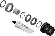 Piasty rowerowe - DT SWISS Hub Upgrade Kit 3-Pawl > Ratchet LN Shimano 2022 Akcesoria do piast - miniaturka - grafika 1