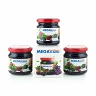 Przeziębienie i grypa - Suplement diety, Mega Flavon - Komplet dla dwojga, 4 szt. - miniaturka - grafika 1