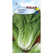 Nasiona i cebule - Sałata Rzymska Polan - miniaturka - grafika 1