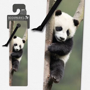 Zakładka 3D 15405 - Panda - IF - Zakładki do książek - miniaturka - grafika 1