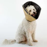 Pozostałe akcesoria dla psów - Kołnierz ochronny ALL FOUR PAWS Comfy Cone, rozmiar M, 20 cm, brązowy - miniaturka - grafika 1