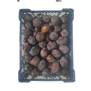 Śliwka 5 Kg - Szybkie dania obiadowe - miniaturka - grafika 1
