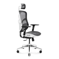 Fotele i krzesła biurowe - Diablo V-Basic ergonomiczne, krzesło biurowe, komfors tuhl, aktywnie oddychający sieci wybór materiału, z regulowaną podłokietniki, z regulacją wysokości, koloru - miniaturka - grafika 1