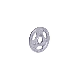 InSportLine Obciążenie Stalowe Insportline Hamerton 1,25 Kg (12708) - Obciążenia - miniaturka - grafika 1