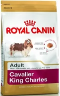 Sucha karma dla psów - Royal Canin Cavalier King Charles Adult 1,5 kg - miniaturka - grafika 1