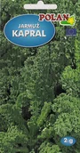 Nasiona i cebule - Jarmuż Kapral 2 g POLAN - miniaturka - grafika 1