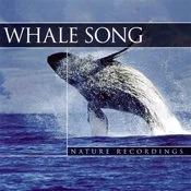 Muzyka relaksacyjna - Whale Song - miniaturka - grafika 1
