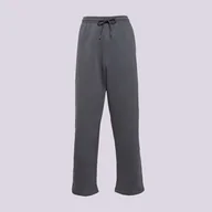 Spodnie męskie - JORDAN SPODNIE JORDAN BROOKLYN FLEECE - Jordan - miniaturka - grafika 1