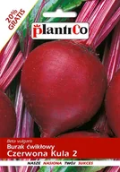 Nasiona i cebule - Plantico Burak ćwikłowy Czerwona Kula 2 - miniaturka - grafika 1