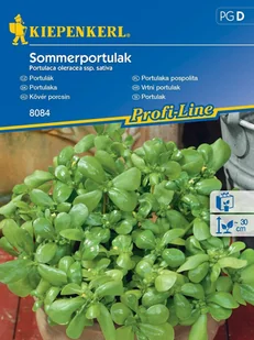 Portulaka nasiona SOMMERPORTULAK Kiepenkerl - Nasiona i cebule - miniaturka - grafika 1