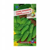 Nasiona i cebule - Ogórek konserwowy Odys nasiona 5g / O / - miniaturka - grafika 1
